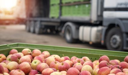 Truck loaded with containers full of apples ready to be shipped to the market.